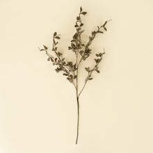 Load image into Gallery viewer, Smoked Eucalyptus Spray
