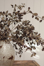 Load image into Gallery viewer, Smoked Eucalyptus Spray
