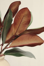 Load image into Gallery viewer, Magnolia Leaf Branch
