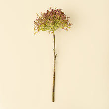 Load image into Gallery viewer, Viburnum Berry Stem, Pink
