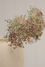 Load image into Gallery viewer, Viburnum Berry Stem, Pink
