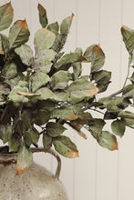 Load image into Gallery viewer, Banyan Branch

