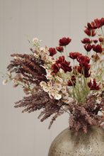 Load image into Gallery viewer, Caliopsis Spray, Rust Red
