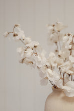 Load image into Gallery viewer, Sweet Pea Stem
