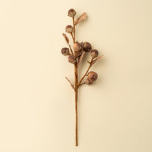 Load image into Gallery viewer, Autumn Nut Spray
