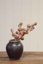 Load image into Gallery viewer, Autumn Nut Spray
