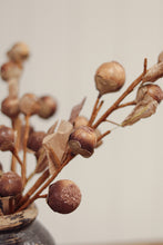 Load image into Gallery viewer, Autumn Nut Spray
