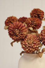 Load image into Gallery viewer, Pompon Dahlia Stem, Brown
