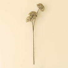Load image into Gallery viewer, Queen Anne's Lace Spray
