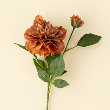 Load image into Gallery viewer, Dahlia Stem, Terracotta
