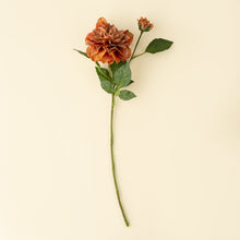 Load image into Gallery viewer, Dahlia Stem, Terracotta
