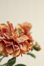 Load image into Gallery viewer, Dahlia Stem, Terracotta
