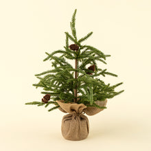 Load image into Gallery viewer, Winterwood Tabletop Tree, Large
