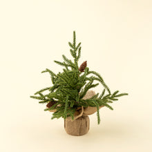 Load image into Gallery viewer, Winterwood Tabletop Tree, Small
