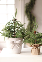 Load image into Gallery viewer, Winterwood Tabletop Tree, Small
