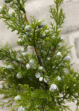 Load image into Gallery viewer, Real Touch Juniper Berry Spray
