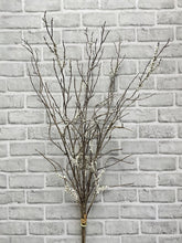 Load image into Gallery viewer, Branched Berry Bundle, 3 Piece
