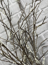 Load image into Gallery viewer, Branched Berry Bundle, 3 Piece
