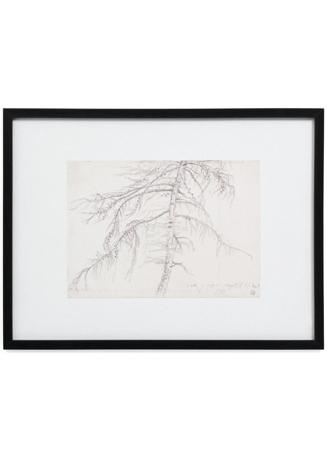 Framed Tree Sketch