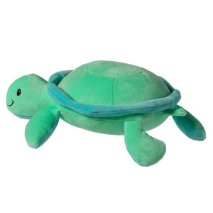 Sea Turtle Smoothez