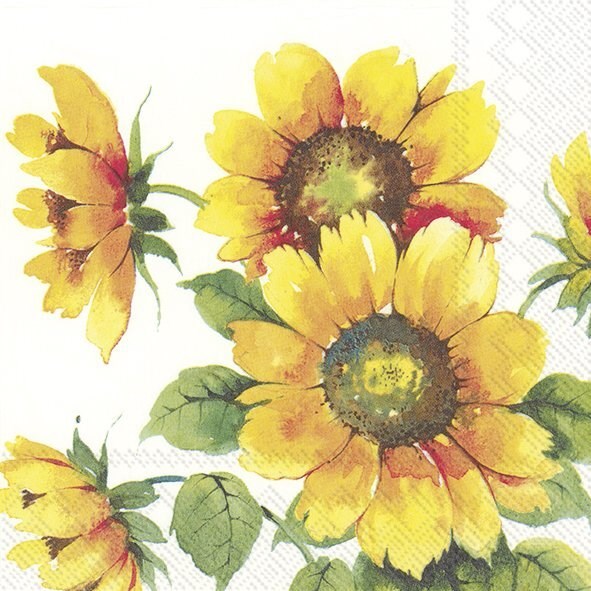 Colourful Sunflowers Cocktail Napkin