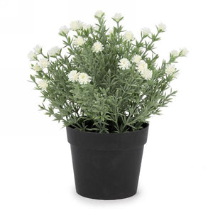 Floral & Foliage Potted Plant