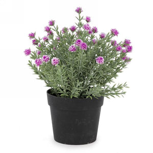 Floral & Foliage Potted Plant