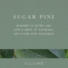 Load image into Gallery viewer, Sugar Pine Glass Candle
