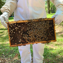 Load image into Gallery viewer, Local Wildflower Honey, 1 kg
