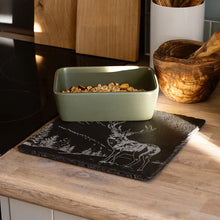 Load image into Gallery viewer, Scenic Stag Slate Pot Stand
