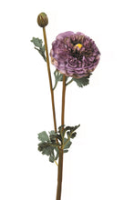 Load image into Gallery viewer, Purple Chrysanthemum
