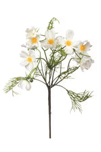 Load image into Gallery viewer, Chamomile Bunch
