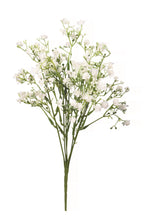 Load image into Gallery viewer, Mini Whites Bunch
