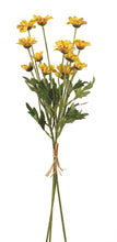 Load image into Gallery viewer, Yellow Daisy Bundle
