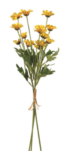 Yellow Daisy Bundle