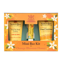 Load image into Gallery viewer, Naked Bee Orange Blossom Honey Mini Bee Kit
