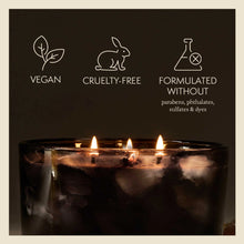 Load image into Gallery viewer, Thymes Noir Woods 3-Wick Poured Candle
