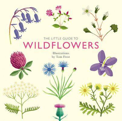 Little Guide to Wildflowers