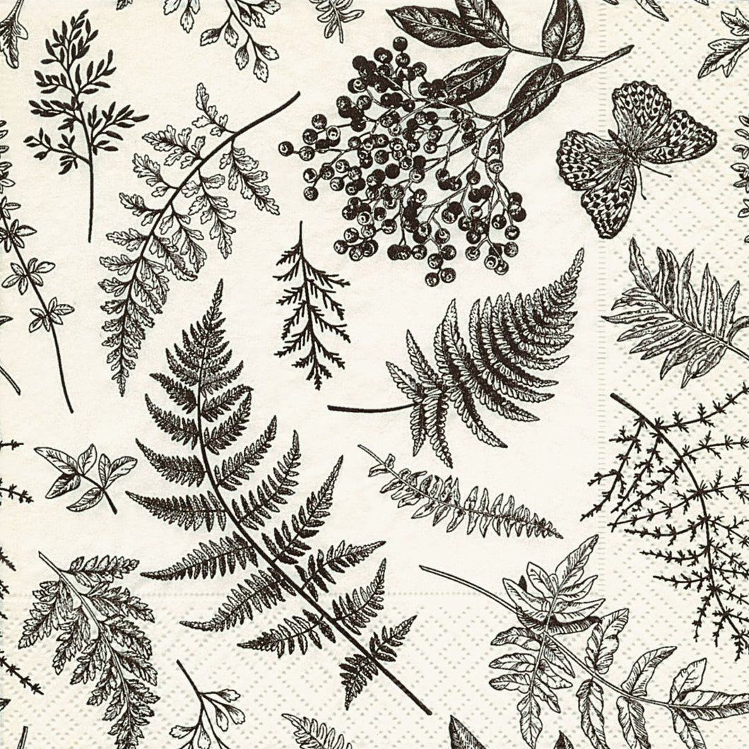 Fern Dance Lunch Napkin