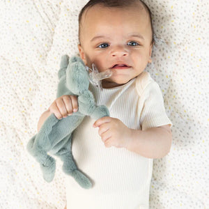 Bella Tunno Pacifier Buddy Freddie the Frog