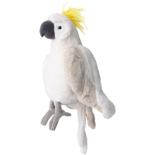 Load image into Gallery viewer, Bukowski Mango
