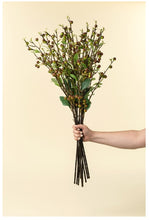 Load image into Gallery viewer, Hypericum Berry Spray

