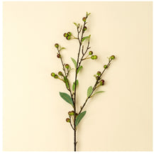 Load image into Gallery viewer, Hypericum Berry Spray
