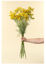 Load image into Gallery viewer, Queen Anne's Lace Spray, Yellow,
