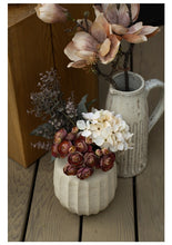Load image into Gallery viewer, Padme Decorative Pitcher
