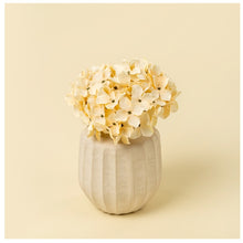 Load image into Gallery viewer, Hydrangea Bouquet, Cream
