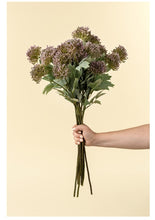 Load image into Gallery viewer, Sedum Spray, Purple

