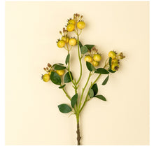 Load image into Gallery viewer, Rosehip Branch
