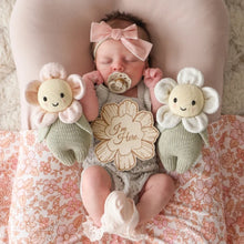 Load image into Gallery viewer, Cuddle + Kind Baby Daisy (Blush Pink)

