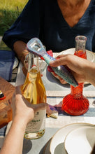 Load image into Gallery viewer, Coho Bottle Opener
